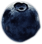 berry2.png