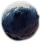 berry4.png